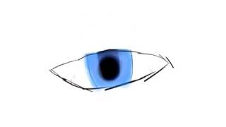 Eye blinking animation test