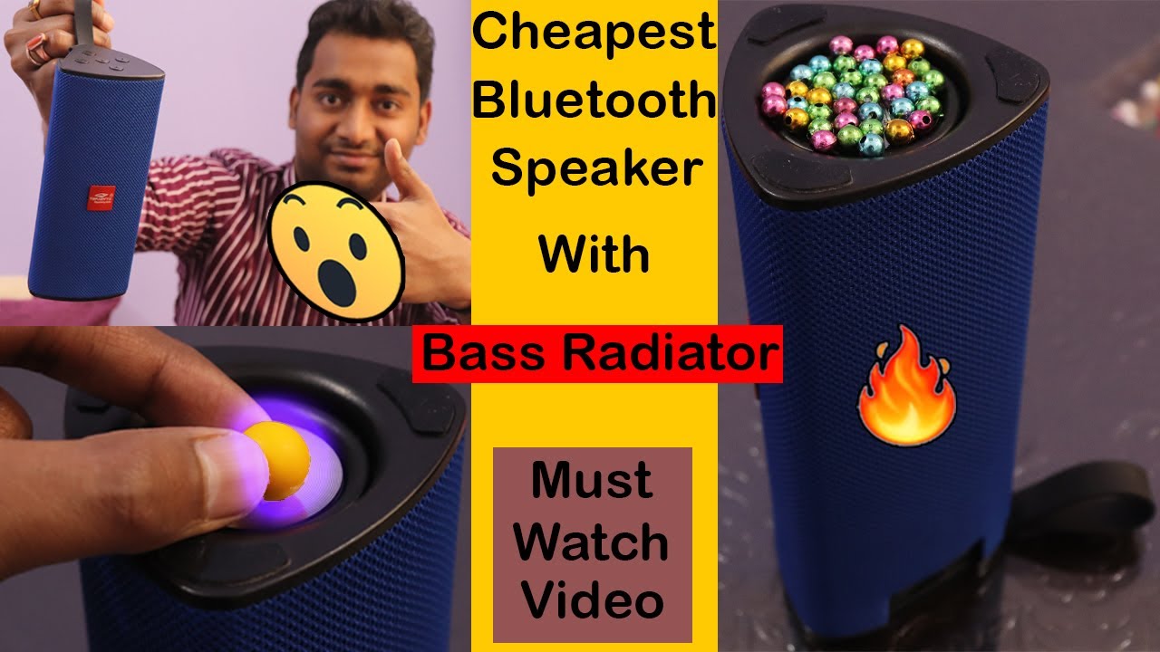 Cheapest Bluetooth Speaker with Bass Radiator Budget Bluetooth