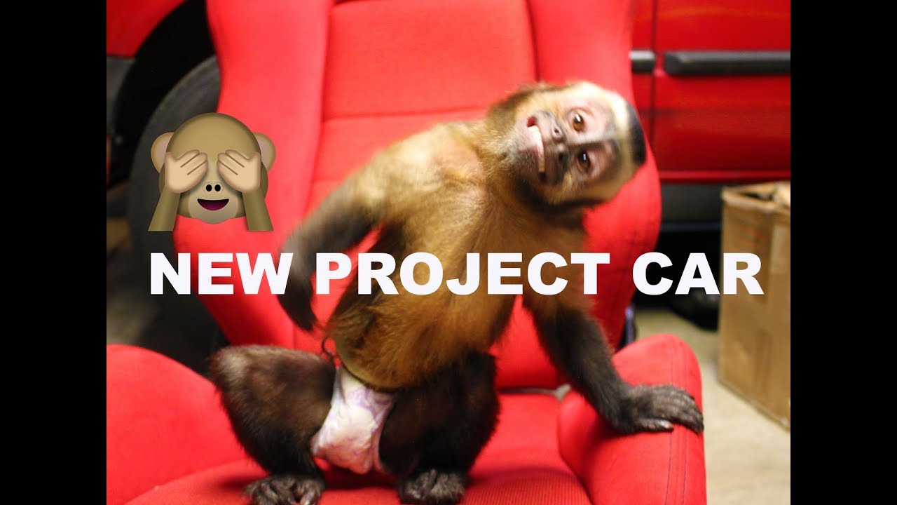 H&G Production is back with a (NEW) Project Car - YouTube