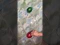 "Two colors Different imagination reverse asmr" #viral #satisfying #asmr