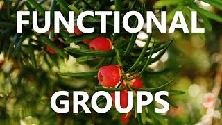 Functional groups - introduction