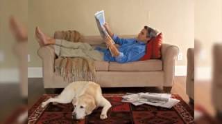 Air Conditioning Contractors/Air Conditioner/Heating Service/Bellingham WA Trane Service/Trane Zone