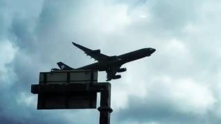 Hifly operated by Azoresairlines