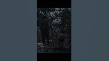 Pet the dog (Thrown to the Dogs) | Assassin