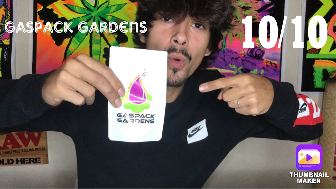 Strain Review: Tahoe Og x Chem 4DD !! By Gaspack Gardens