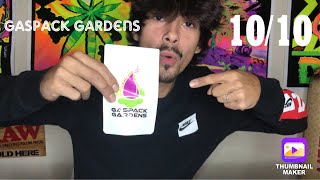 Strain Review: Tahoe Og x Chem 4DD !! By Gaspack Gardens