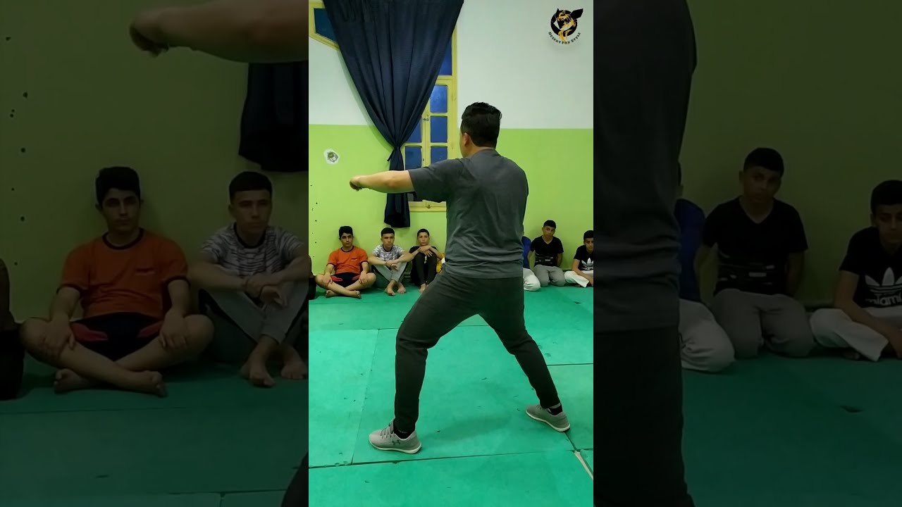 Desert Fox Style Pattern Explication(Martial art)