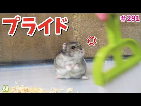 ぬーさまLIFE!!ch - YouTube