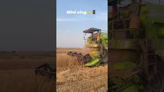 mini vlog 👉🏻📱#trending#ytshorts#youtubeshorts #shorts#combine#farming#farminglife #ytshort#yt