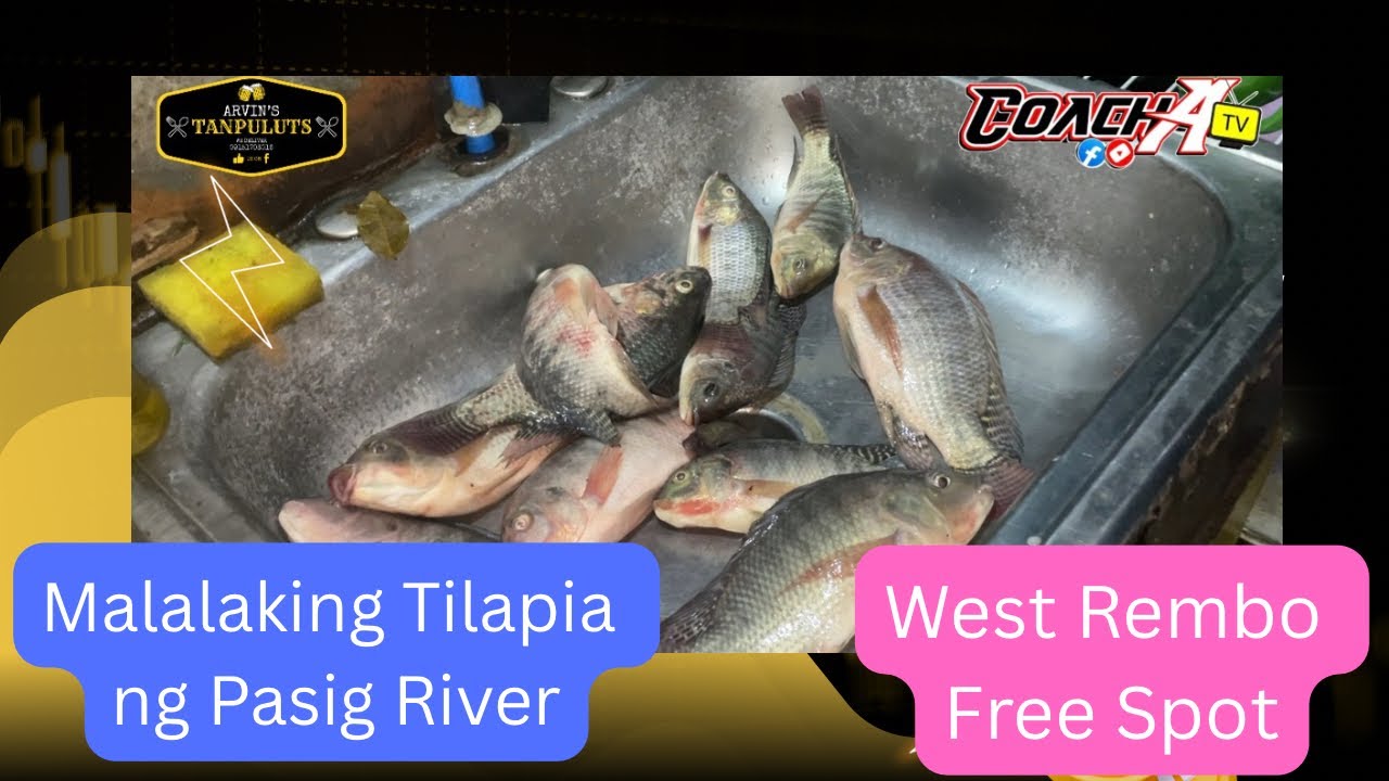 PASIG RIVER FISHING @ west rembo taguig FREE SPOT‼️ 