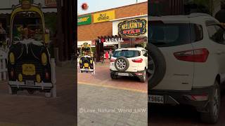 City Of D Karnal Haryana