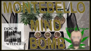 MONTEBELLO MIND BOMB! | LA CONFIDENTIAL AND GG4 RECAP | EPIC ORGANIC GARDENING! | ZOLTRIX GROWER