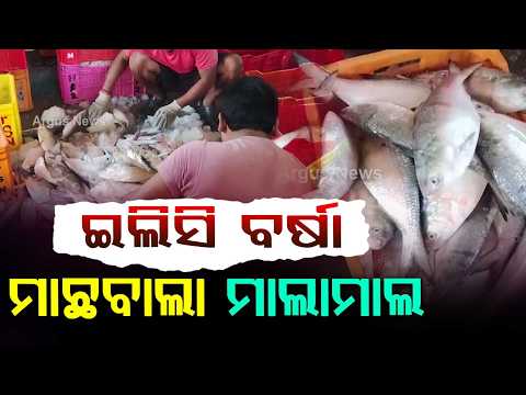 Hilsa Fish Rush At Digha: Tons Of Hilsa Caught As Monsoon Arrives | Argus News
