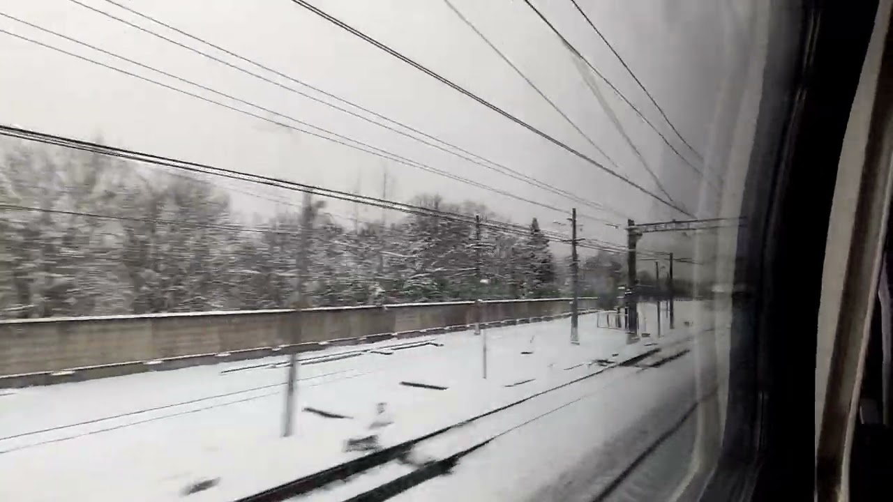 с ветерком в Питер на поезде Аврора