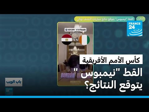 المغرب نيجيريا مصر السنغال القط نيمبوس يتوقع نتائج نصف نهائي كأس أفريقيا 