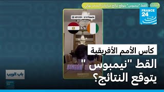 المغرب - نيجيريا، مصر- السنغال.. القط 'نيمبوس' يتوقع نتائج نصف نهائي كأس أفريقيا؟