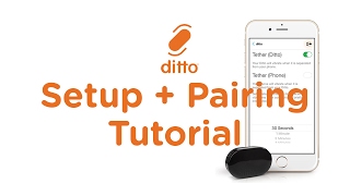 How To Pair Ditto With Your Phone - Ditto Pairing Tutorial - Smallest Notification Wearable screenshot 4