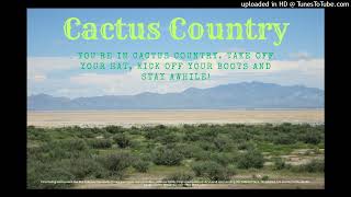 Watch Aaron Watson Houston video