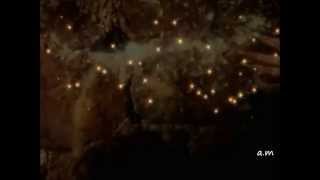 Gary B-bitter sweet (traduçâo pt)