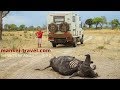 Von Kap zu Kap: 09 Mit dem Wohnmobil ins Südliche Afrika 2