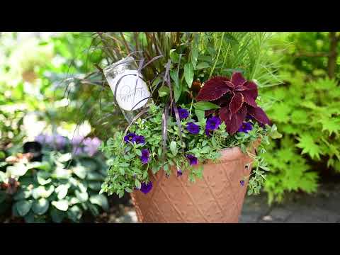 How To Use a Plant Nanny | GARDENWORKS Canada