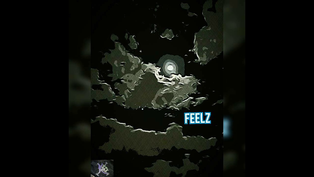 Lil Griz Ft CJ Hollow- Feelz