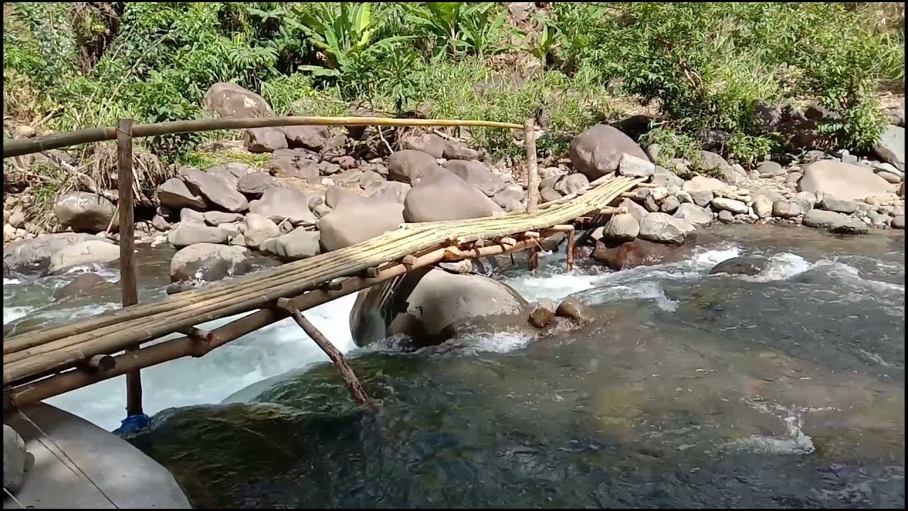 Dalipay - Cawayan Manito Albay.