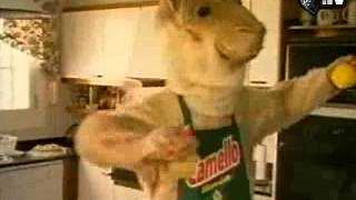 unilever - mr camello