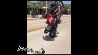 Os Melhores Grau De Meiota