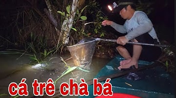 Cắm Câu Dưới Con Rạch Mồi Trùng Hổ , Cá Trê Bự Bự Dính Câu Gỡ Liền Tay # SĂN BẮT ĐỒNG THÁP #