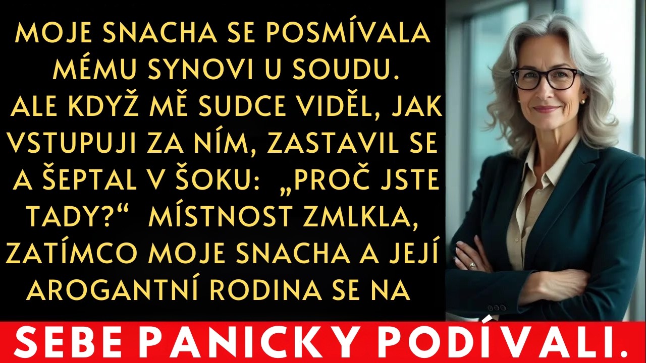 Vstoupila jsem do soudní síně a Melisa se na mě usmála. Myslela si, že vyhrála. Seděla naproti mému zraněnému synovi a v očích měla vypočítavost, kterou jsem poznala dřív, než jsem zaslechla, jak...