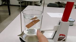 Buoyant Force Lab1