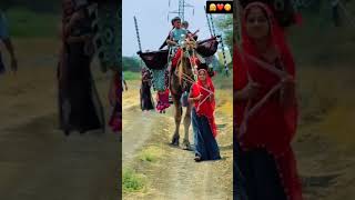 bajara me jau dholo lare lare aave marwadi song rajsthani song #marwadisong #rajsthanisong2026 #2026