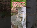 大木に寄り添う羽衣ジャスミンの香りが漂う神秘的な空間
