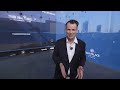 CIB Palm Hills PSA World Championships Semi-Finals | It's time for the SEMI-FINALS 🔥