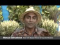 Marcus Samuelsson: One-Pot Dishes | Food & Wine