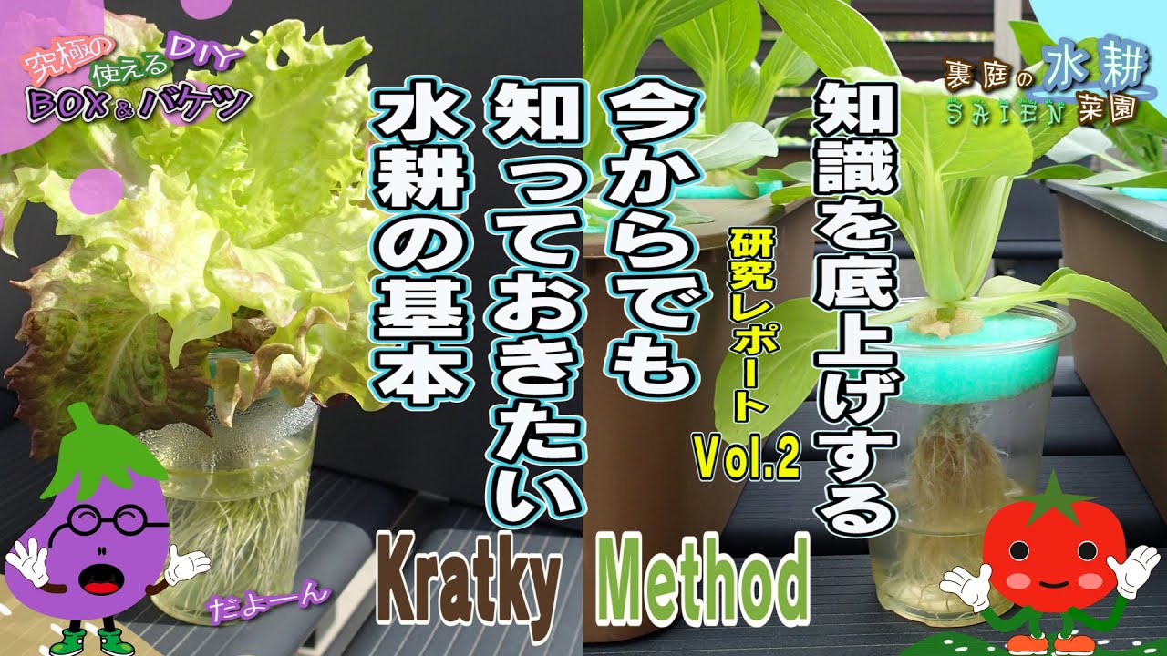 【DIY水耕栽培】知識を高めよう！Kratky Method クラトキー論文（レタス栽培の為の3つの非循環型水耕栽培法）より