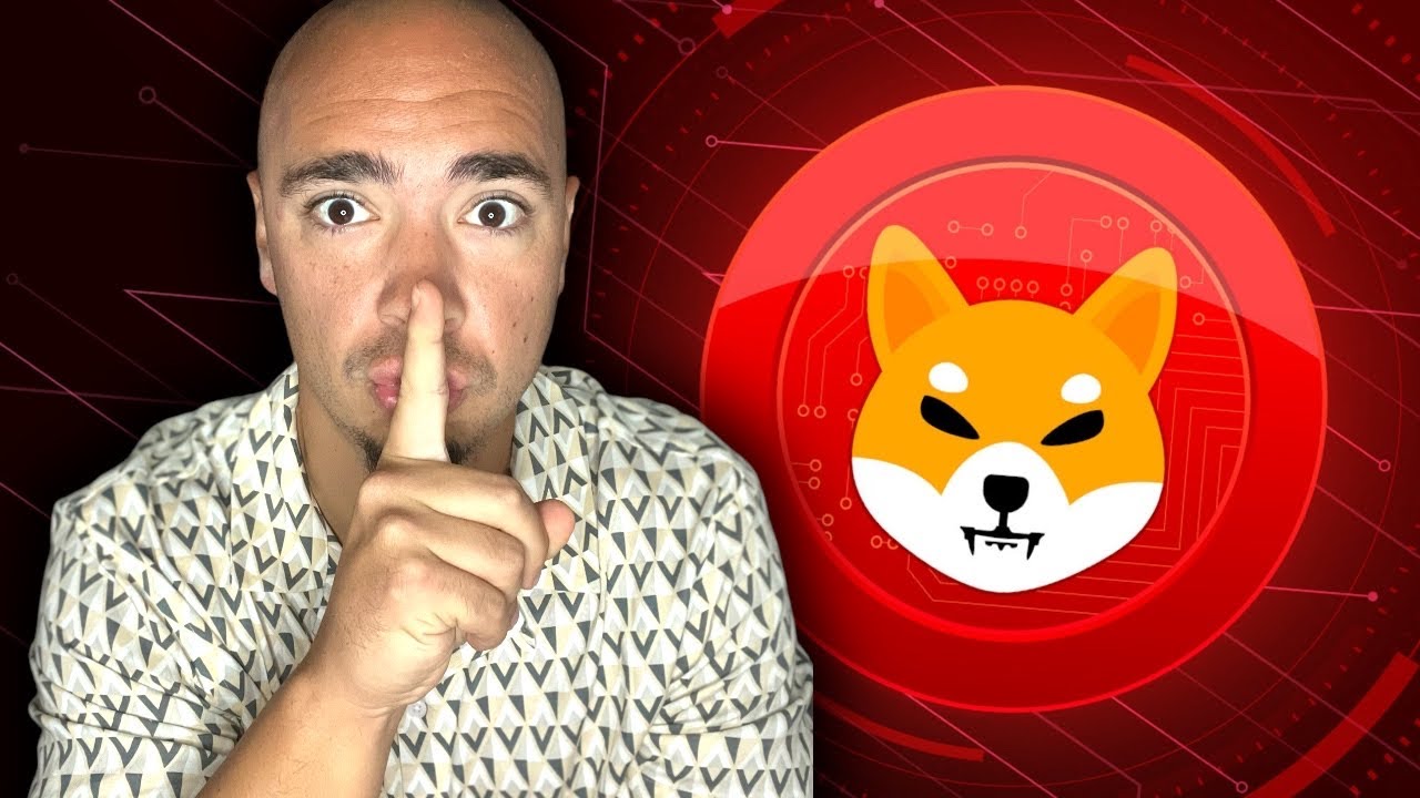 Top 10 SHIBA INU COIN Wallets REVEALED + SHIBA INU BURNS! YouTube