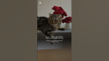 سورة يونس الاية ٤٣ القارئ عبد الرحمن مسعد #نقاء #جديد #قران_كريم #لطيف #2025 #2026 #قطة #قطط #2027