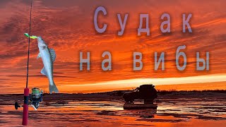 видео: Ловля судака на вибы! Первый опыт. Селетинское водохранилище картинка: Ловля судака на вибы! Первый опыт. Селетинское водохранилище
