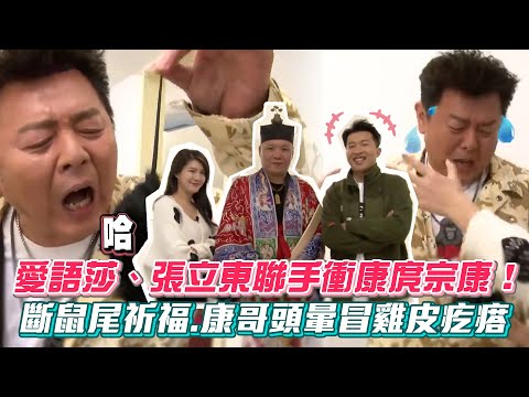 愛語莎、張立東聯手衝康庹宗康！斷鼠尾祈福.康哥頭暈冒雞皮疙瘩 #綜藝大熱門│ Vidol.tv