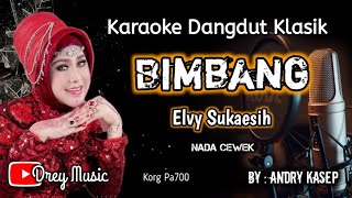 Bimbang Karaoke/Tanpa Vocal/Elvy Sukaesih/Nada Cewek/D mayor/@dreymusic6402