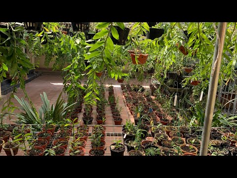 Video QUÂN PHƯƠNG: 19/1 CHIA SẺ 5CT ANH CẢ, MINH VŨ, PHÚ... - youtube