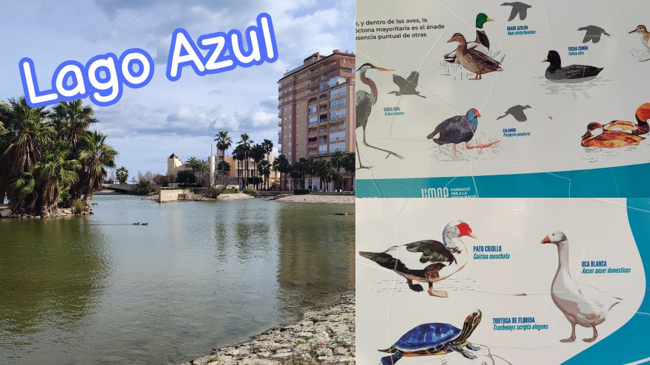 Un Lago Azul para Desconectar con muchos animales en plena Naturaleza