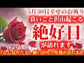 幸せを運ぶ真っ赤な薔薇です。5月30日の朝の浄化祈願