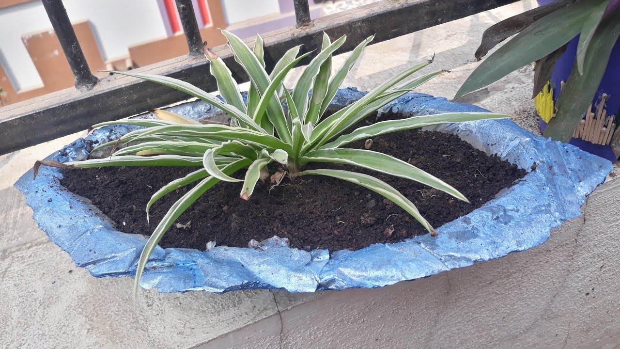 DIY planter/ ship planter YouTube