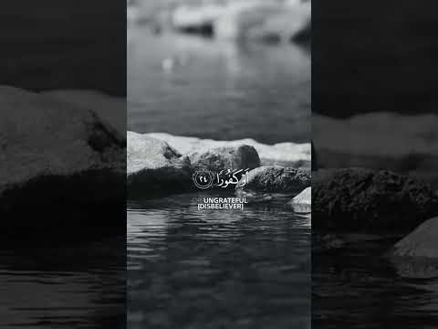 انا نحن نزلنا عليك القران تنزيلا القارئ إسلام صبحي