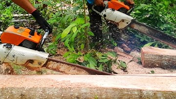Duos-Chainsaw Stihl 720 & 070||Lumber making Skills at Freehand//Mahogany