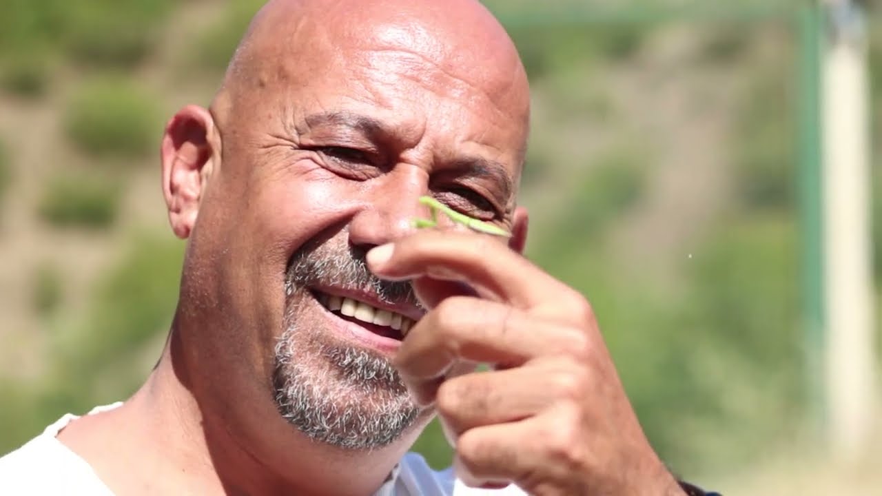 Kızılcahamam'da Yaşam - Bilim - Arıcılık