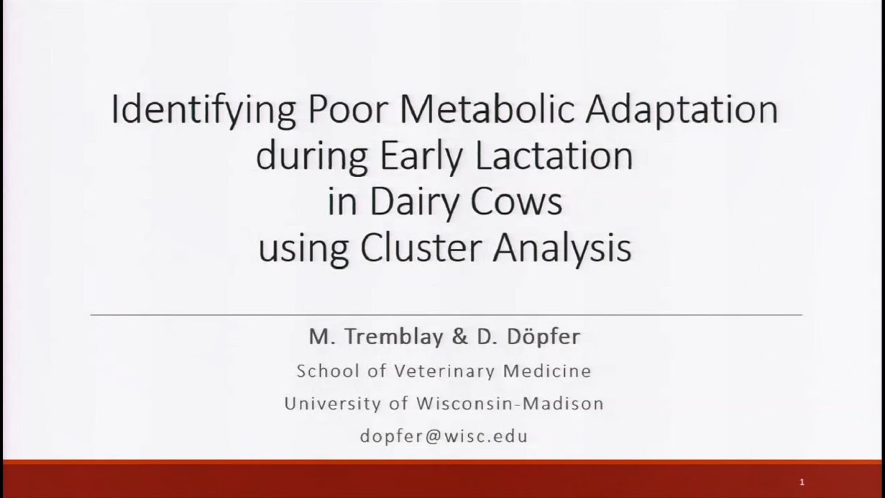 Flagging cows with poor metabolic adaptation during early lactation using cluster analysis